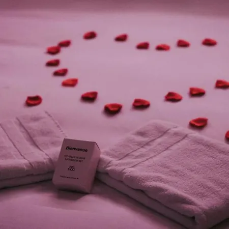 Apartment Loveroom En Centre Avec Jacuzzi - Notre Dame