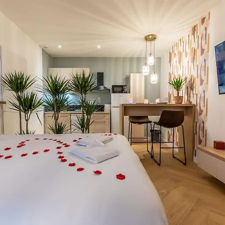 Loveroom En Centre Avec Jacuzzi - Notre Dame Apartment
