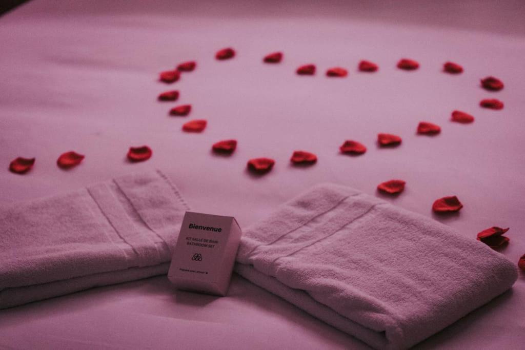 Apartment Loveroom En Centre Avec Jacuzzi - Notre Dame