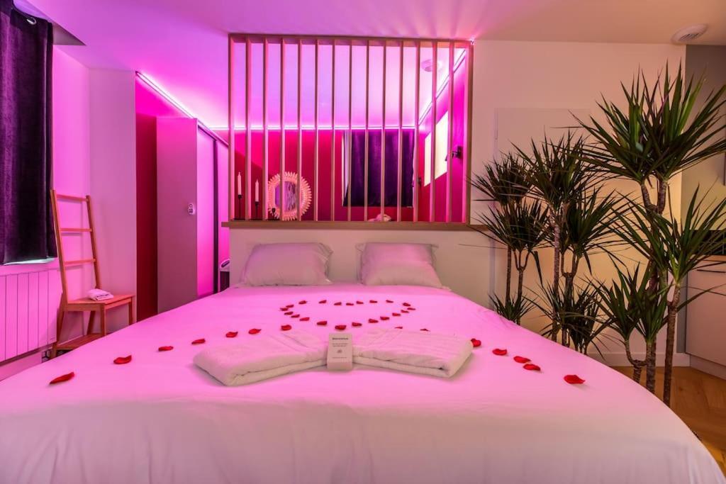 Apartment Loveroom En Centre Avec Jacuzzi - Notre Dame *